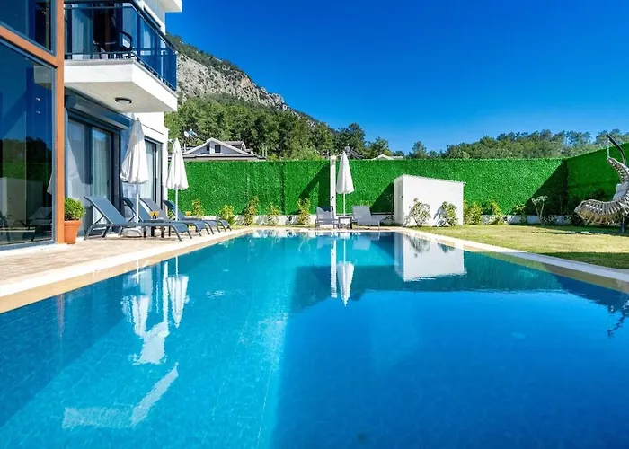 Villa Aselya-villa With Private Pool For 8 Persons In Gocek