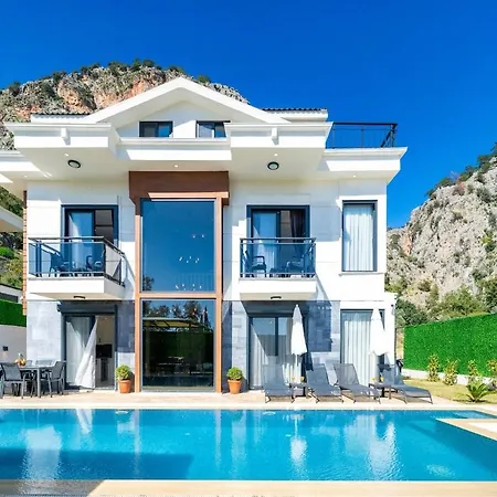 别墅 Aselya-villa With Private Pool For 8 Persons In Gocek 费特希耶