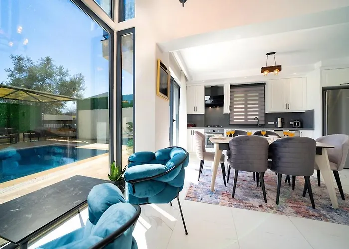 Vila Aselya-villa With Private Pool For 8 Persons In Gocek *