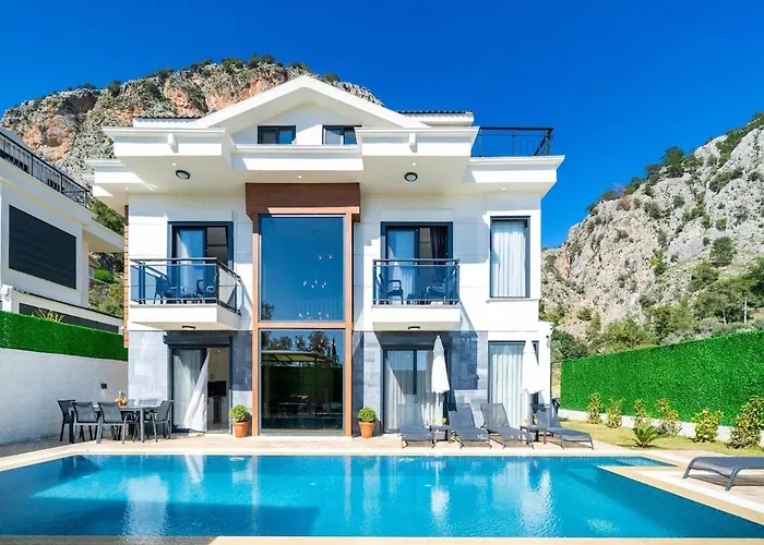 别墅 Aselya-villa With Private Pool For 8 Persons In Gocek 费特希耶